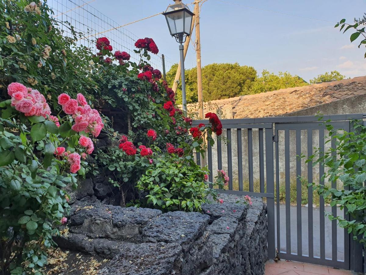Villa Martina Mascalucia Exterior foto